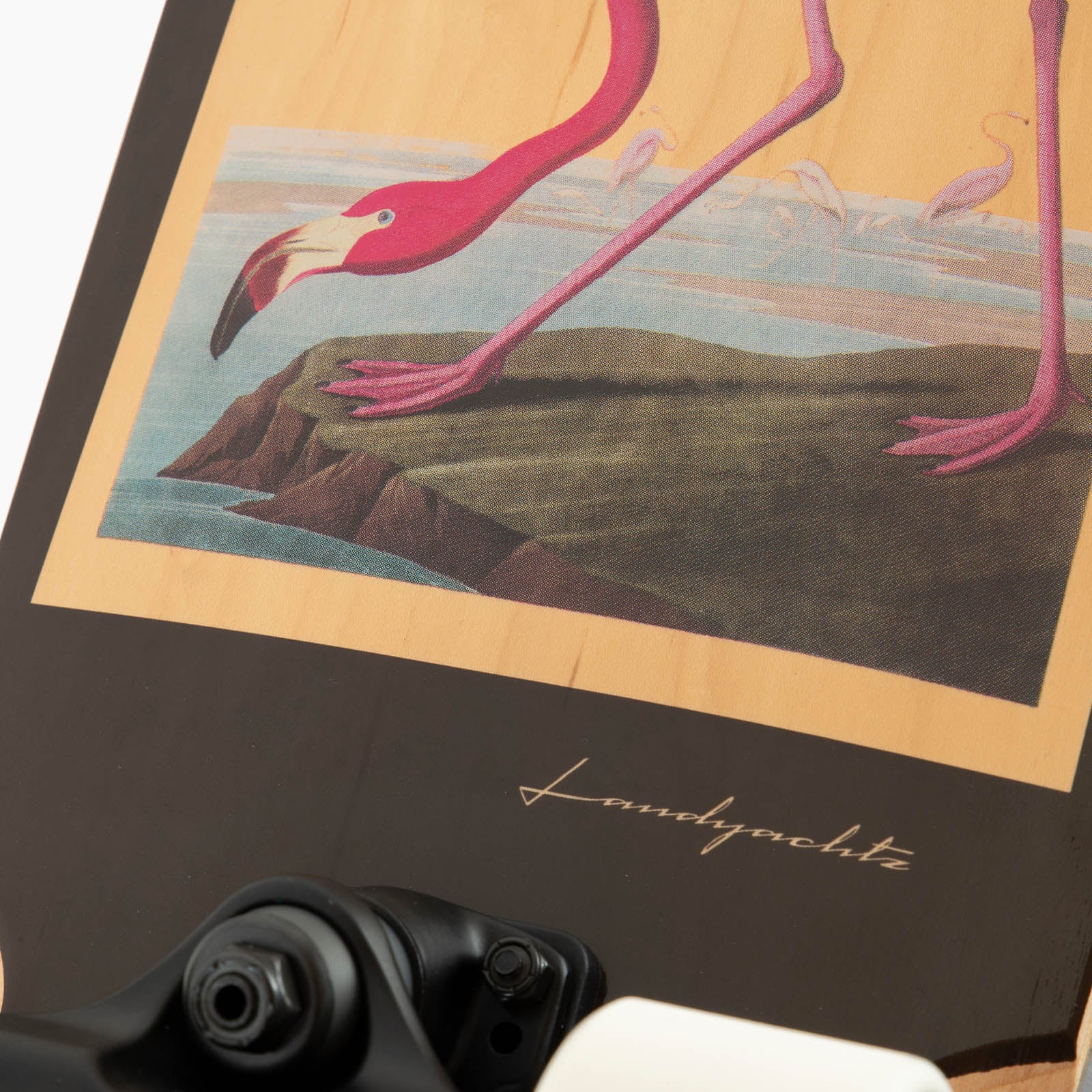 Landyachtz Dinghy Blunt 28", Flamingo 2023 - Image 4