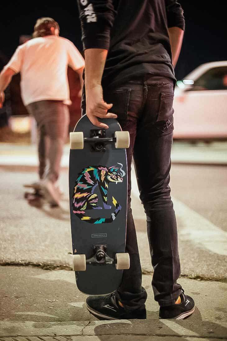 Landyachtz Dinghy Series Skateboard, Blunt Hyena Complete - Image 5